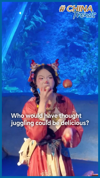 SNYC17MAEJLYLID4G6T7 - Namaste Headlines Guangzhou Aquarium Performer's Apple Juggling Goes Viral 🍏 video poster
