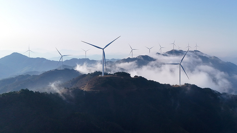 Science_Names_Renewable_Energy_Surge_as_2025_Breakthrough