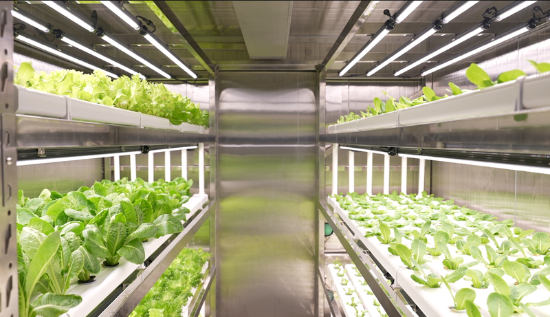 Sea_Farming_2_0__The_Chinese_mainland_s_Hybrid_Smart_Planting_Module video poster