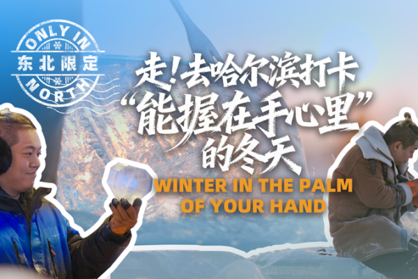 Tiny_Ice_Wonders__Harbin_Sculptor_Brings_Winter_to_Your_Palm video poster