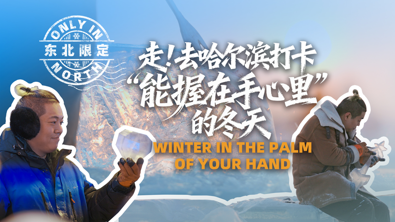 Tiny_Ice_Wonders__Harbin_Sculptor_Brings_Winter_to_Your_Palm_poster - Namaste Headlines Tiny_Ice_Wonders__Harbin_Sculptor_Brings_Winter_to_Your_Palm video poster