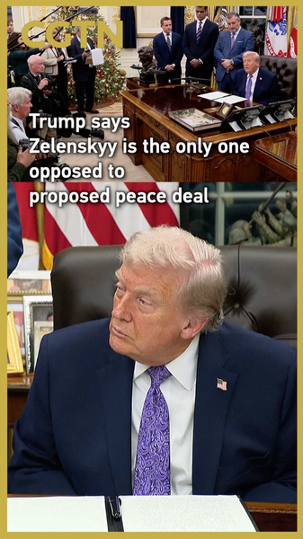 Trump__Zelenskyy_the_Only_One_Opposing_Proposed_Russia_Ukraine_Peace_Deal video poster