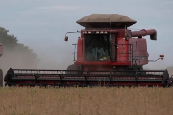 Trump_unveils__12B_farm_aid_package_amid_trade_truce video poster