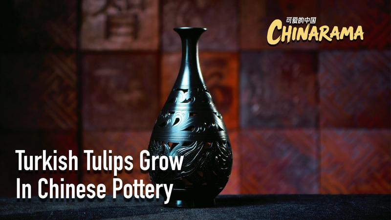 Turkish_Tulips_Blossom_on_Chinese_Eggshell_Black_Pottery_poster - Namaste Headlines Turkish_Tulips_Blossom_on_Chinese_Eggshell_Black_Pottery video poster