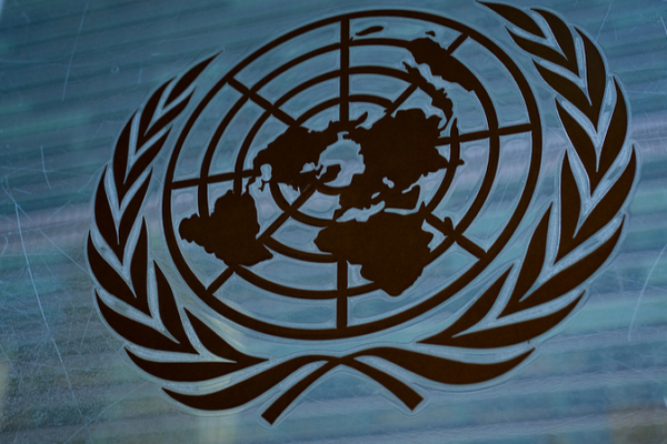 UN_Report__AI_Success_Hinges_on_Ecosystem__Not_Just_Tech