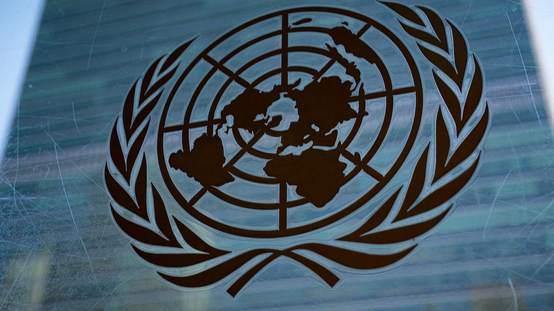 UN_Report__AI_Success_Hinges_on_Ecosystem__Not_Just_Tech