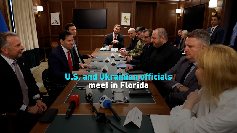 US___Ukraine_Officials_Meet_in_Florida_to_Finalize_Peace_Framework video poster