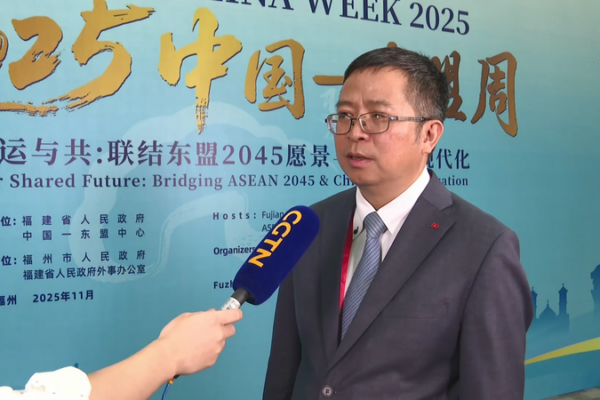 Vietnam_Envoy__Hainan_Free_Trade_Port_Opens_New_ASEAN_Trade_Era video poster