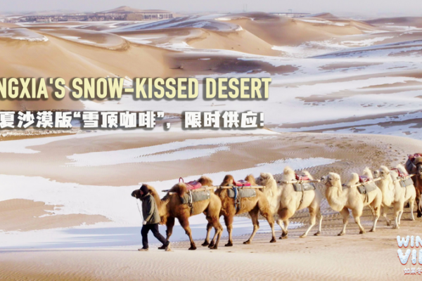 Winter_Vibes__Ningxia_s_Snow_Kissed_Desert_Magic video poster