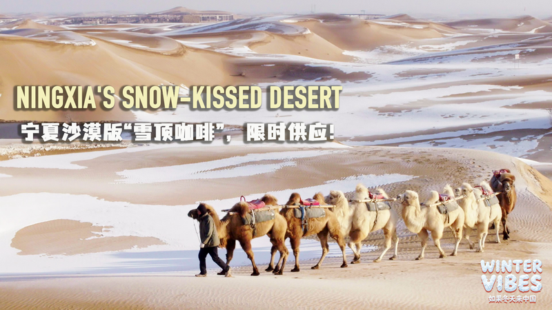 Winter_Vibes__Ningxia_s_Snow_Kissed_Desert_Magic video poster