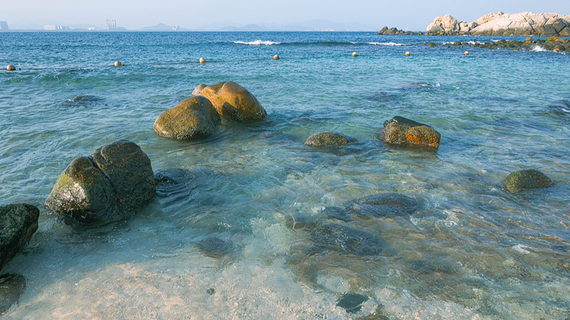 Wuzhizhou_Island__15_Years_of_Coral_Comeback___Eco_Tourism video poster