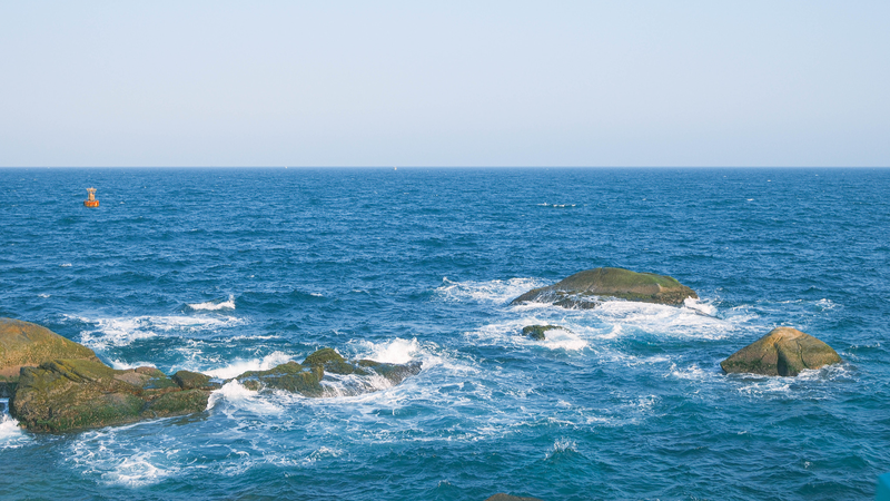 Wuzhizhou_Island__From_Coral_Restoration_to_Eco_Tourism_Paradise_poster - Namaste Headlines Wuzhizhou_Island__From_Coral_Restoration_to_Eco_Tourism_Paradise video poster