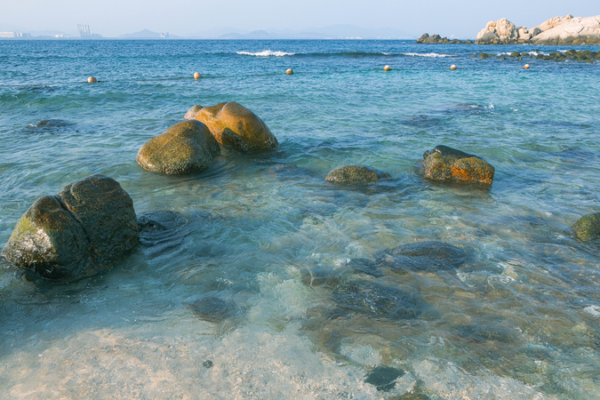 Wuzhizhou_Island_s_Green_Makeover__Marine_Ranch___Coral_Revival video poster