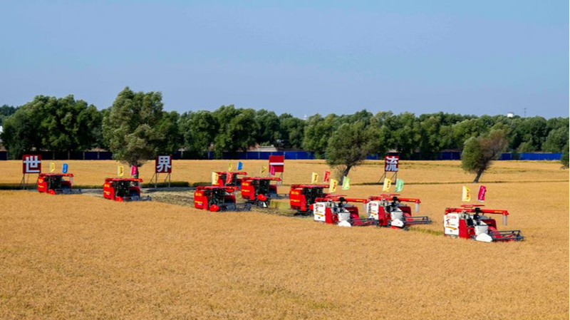 Y26GAPEBUXJW8G9HBAWC - Namaste Headlines China’s 10-Year AgriTech Leap: Modern Farming Goes Digital