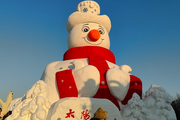 Harbin's Iconic Snow Sculptures Light Up Winter ❄️ video poster