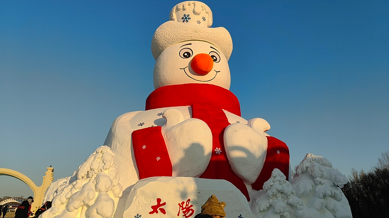 Harbin's Iconic Snow Sculptures Light Up Winter ❄️ video poster