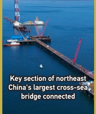Dalian's Changhai Cross-Sea Bridge Connects Final Deck Section 🌉 video poster