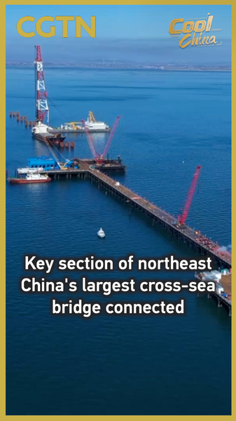Dalian's Changhai Cross-Sea Bridge Connects Final Deck Section 🌉 video poster