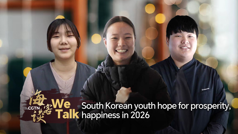2026_Vibes__South_Korean_Youth_Share_New_Year_Hopes video poster