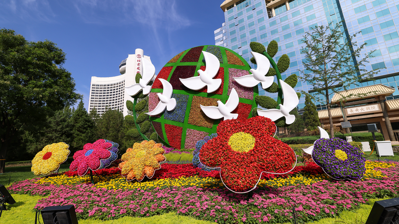 Building a Shared Future: China’s Vision for Global Cooperation