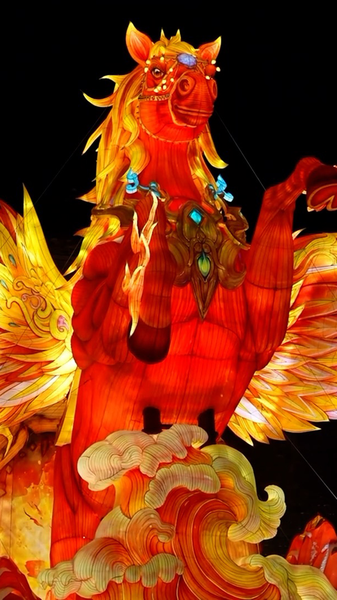 3MCJ8UR0DQGBKAX2GV5Z - Namaste Headlines Nanjing's 40th Qinhuai Lantern Festival Shines Bright ✨ video poster