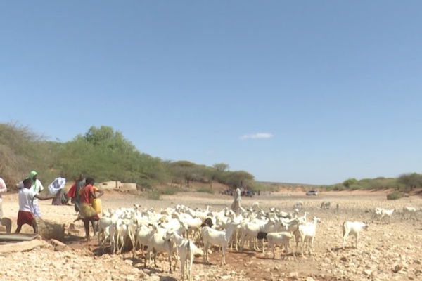Somalia's Drought Deepens Rural Water Crisis 💧 video poster