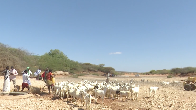 Somalia's Drought Deepens Rural Water Crisis 💧 video poster