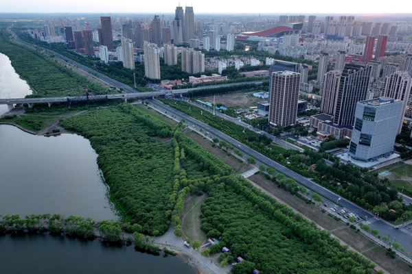 China’s 2035 Waste-Free City Revolution 🌱