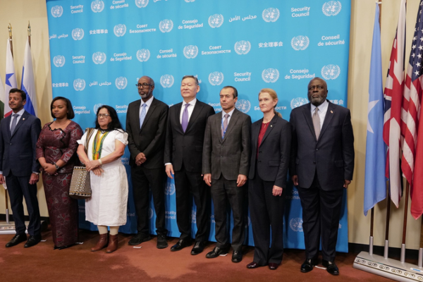 5_new_members_kick_off_UN_Security_Council_term_in_2026