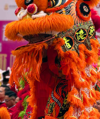 Vibrant Dragon & Lion Dances Kick Off 2026 Hong Kong Festival 🐉🦁 video poster