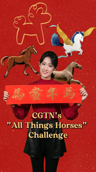 CGTN_s__All_Things_Horses__Challenge_Celebrates_Year_of_the_Horse video poster