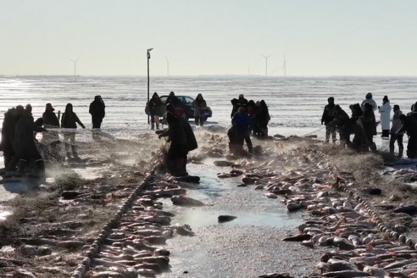 Chagan_Lake_Ice_Fishing_Festival_Begins_Jan_8_in_Jilin video poster