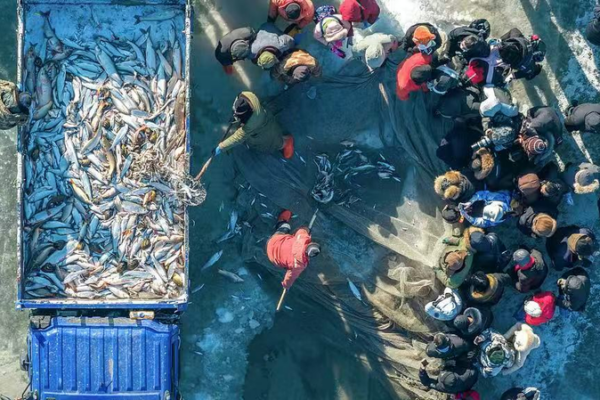 Chagan_Lake_s_Spectacular_Winter_Ice_Fishing_Tradition video poster