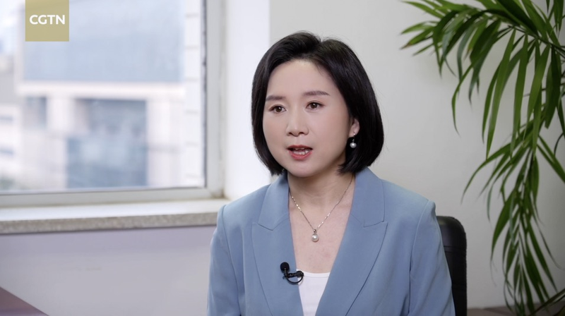 China_Eyes_Two_Way_Investment_Boost_with_Belt_and_Road_Partners video poster