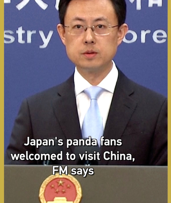 China_Welcomes_Japanese_Panda_Fans_Ahead_of_Twin_Pandas__Return video poster