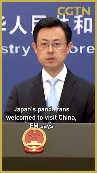 China_Welcomes_Japanese_Panda_Fans_Ahead_of_Twin_Pandas__Return video poster