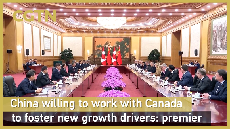 China__Canada_Forge_New_Growth_Drivers_in_Clean_Energy___Tech video poster