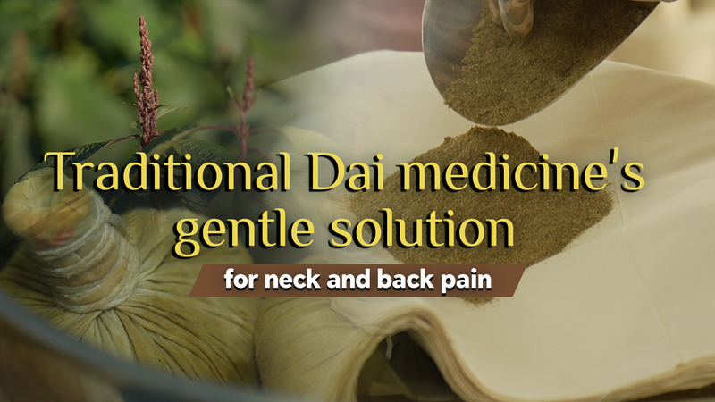Dai_Medicine_s_Gentle_Fix_for_Neck___Back_Pain