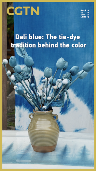 Dali_Blue__How_Yunnan_s_Tie_Dye_Tradition_Became_a_Sustainable_Lifestyle video poster