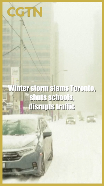 Toronto Blizzard Disrupts Schools, Flights and Traffic ❄️ video poster