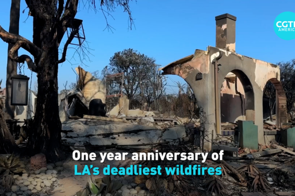 One Year After LA’s Deadliest Wildfires: The Road to Recovery video poster