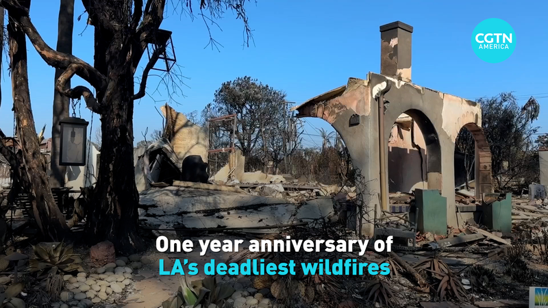One Year After LA’s Deadliest Wildfires: The Road to Recovery video poster