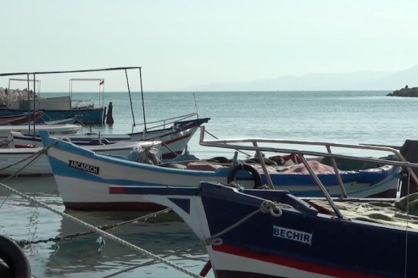 Tunisia’s Illegal Fishing Pushes Great White Sharks to the Brink 🦈 video poster
