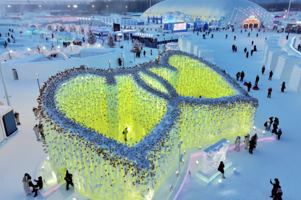 Harbin’s 15m Rose Icefall Blooms at Ice & Snow World