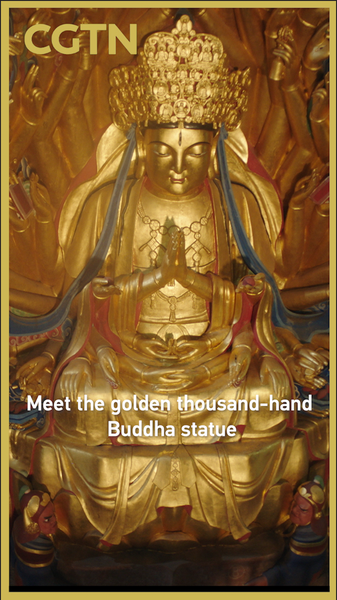 Golden_Thousand_Hand_Buddha_Shines_Again_in_Dazu_Caves video poster