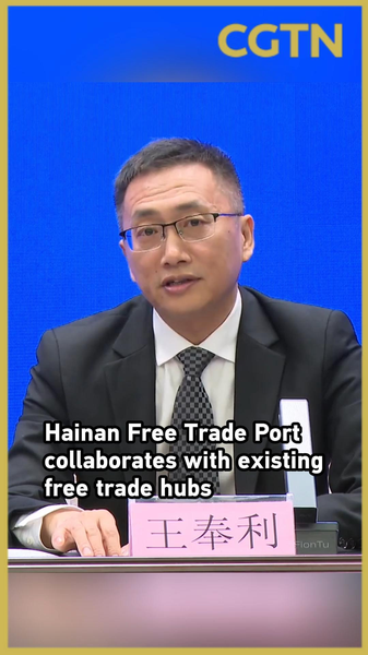 Hainan_Free_Trade_Port_Seeks_Collaboration_with_Hong_Kong_SAR__Singapore___Dubai video poster