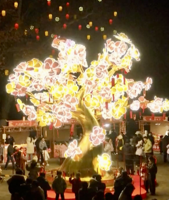 Hefei_s_Luzhou_Lantern_Fair_Shines_Bright_with_Lantern_Art___Fireworks video poster