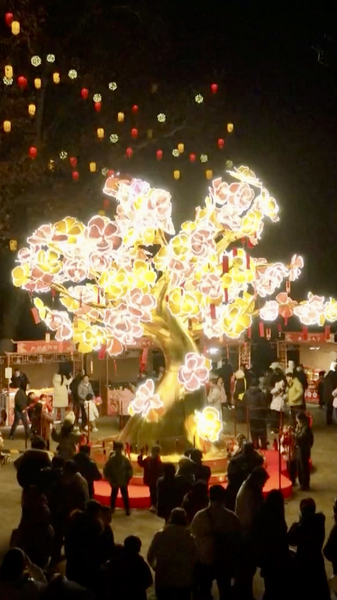 Hefei_s_Luzhou_Lantern_Fair_Shines_Bright_with_Lantern_Art___Fireworks video poster