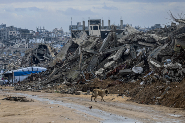 IDF_Strikes__2_Hamas_Leaders_Killed__Gaza_Reports_14_Deaths