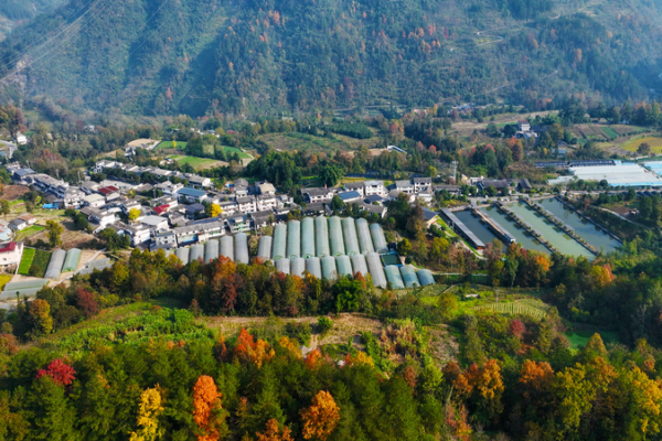 Industrial_Power__Fueling_Rural_Revival